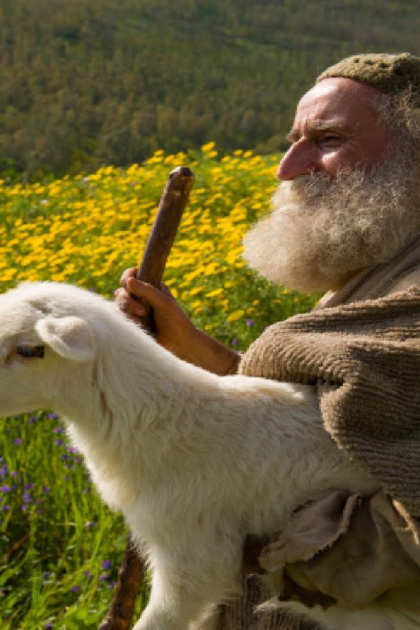 The Innocence of Compassion